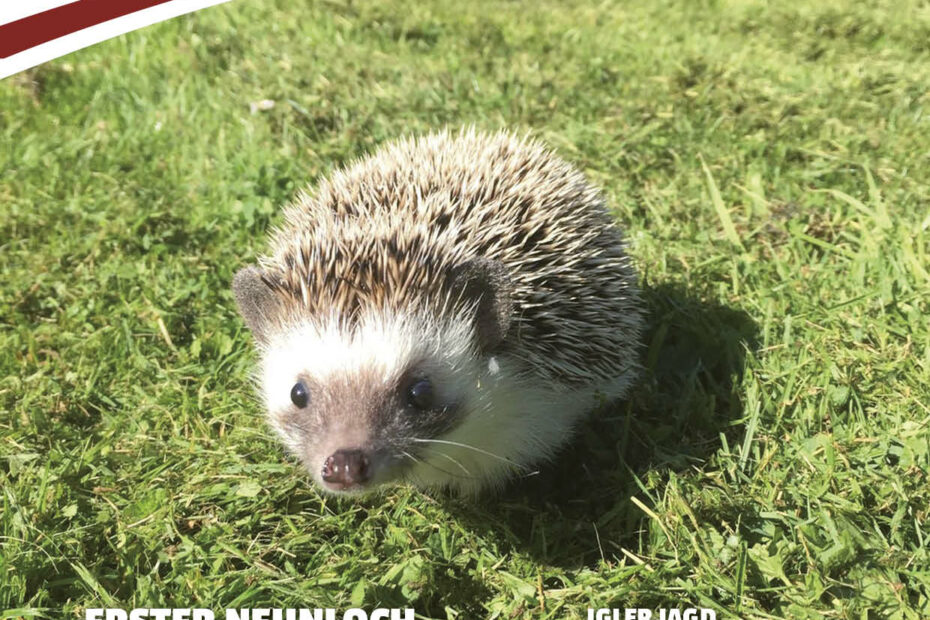 Titel der Igel 52